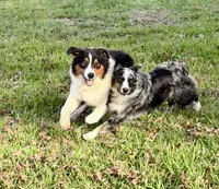 processed/06056297-f0fe-43d9-b3f4-9fe207d8be6a/listing/9c193bd8-2b3e-40ca-bdc6-bbd8eda5de93/7ab24c59-0e8c-44e8-a36c-ce825b5a9be0