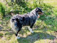 processed/06056297-f0fe-43d9-b3f4-9fe207d8be6a/listing/9c193bd8-2b3e-40ca-bdc6-bbd8eda5de93/df0b90ec-099e-4984-8ae3-d731dd5beabf