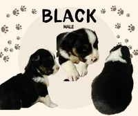 processed/06056297-f0fe-43d9-b3f4-9fe207d8be6a/listing/9c193bd8-2b3e-40ca-bdc6-bbd8eda5de93/e976eb53-f9e5-4702-863c-67792d488665