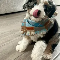 processed/06059860-0dd0-4b51-9835-0382696261b0/facility/57a4d2e5-cfc6-430e-930d-7fe81e0fc640