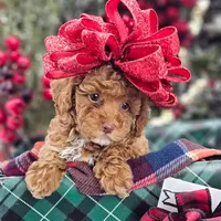 processed/06059860-0dd0-4b51-9835-0382696261b0/facility/74e45bc5-0873-408a-bb6b-d28faaaf3ef6