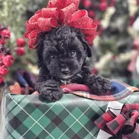 processed/06059860-0dd0-4b51-9835-0382696261b0/facility/8f3be56b-8f91-4d4b-9c3f-197854067080