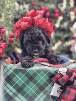 processed/06059860-0dd0-4b51-9835-0382696261b0/facility/8f3be56b-8f91-4d4b-9c3f-197854067080