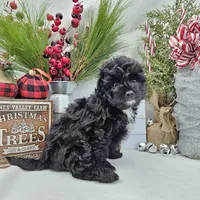 processed/06059860-0dd0-4b51-9835-0382696261b0/facility/99a683ba-487c-422a-8427-3db7f3e80156