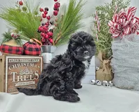 processed/06059860-0dd0-4b51-9835-0382696261b0/facility/99a683ba-487c-422a-8427-3db7f3e80156