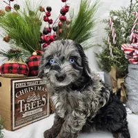 processed/06059860-0dd0-4b51-9835-0382696261b0/facility/b53f5e42-ecff-44dd-8621-244ccdb2e6f8