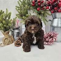 processed/06059860-0dd0-4b51-9835-0382696261b0/facility/ed43b2da-5f4e-4d55-b7db-8b103b2536e7