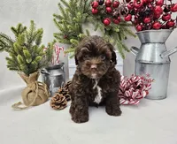 processed/06059860-0dd0-4b51-9835-0382696261b0/facility/ed43b2da-5f4e-4d55-b7db-8b103b2536e7