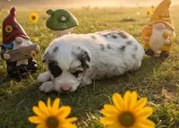 processed/060699dc-6636-424b-98cb-f742cb8da23f/listing/0ad72918-1570-4201-9ef5-19d022a542d4/9bfb7834-e580-4647-a0a1-70e66e28ec83