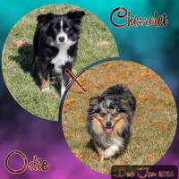 processed/060699dc-6636-424b-98cb-f742cb8da23f/listing/0ad72918-1570-4201-9ef5-19d022a542d4/de53ae47-c7d7-4325-9979-29779b087f60