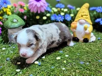 processed/060699dc-6636-424b-98cb-f742cb8da23f/listing/8cdff196-91f1-49ef-874c-2c45a2b97cbb/338e0526-56fd-46a9-87aa-98adc9956ac4