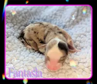 processed/060699dc-6636-424b-98cb-f742cb8da23f/listing/8cdff196-91f1-49ef-874c-2c45a2b97cbb/e3e5356e-ed5d-4bba-bc47-8523a8137cf7