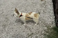 processed/0606b05b-ec55-4701-ad3d-5cd790c04643/listing/55937a99-a102-4cfa-a1b0-0d5f76c25927/09321e58-7873-4948-84f0-6474279b60dc