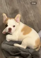 processed/0606b05b-ec55-4701-ad3d-5cd790c04643/listing/55937a99-a102-4cfa-a1b0-0d5f76c25927/c540b00d-fc69-434e-bcbf-26c20881b6c8