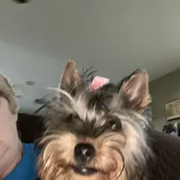 processed/060d4972-f35c-4c4b-964a-89a6a35d69de/facility/5139977a-0a13-4642-aaea-8b93ff5e1ad8