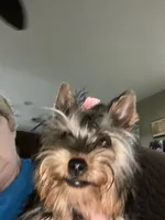 processed/060d4972-f35c-4c4b-964a-89a6a35d69de/facility/5139977a-0a13-4642-aaea-8b93ff5e1ad8