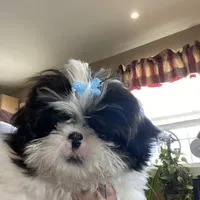 processed/060d4972-f35c-4c4b-964a-89a6a35d69de/facility/58166f5e-8c17-43a4-a56b-016594de5c81