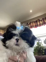 processed/060d4972-f35c-4c4b-964a-89a6a35d69de/facility/58166f5e-8c17-43a4-a56b-016594de5c81