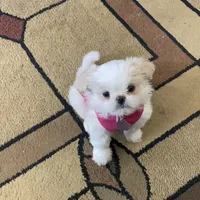 processed/060d4972-f35c-4c4b-964a-89a6a35d69de/facility/698eaef3-5786-4021-9b4b-68cddaee0fb7