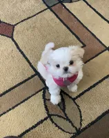 processed/060d4972-f35c-4c4b-964a-89a6a35d69de/facility/698eaef3-5786-4021-9b4b-68cddaee0fb7