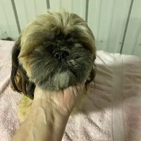 processed/060d4972-f35c-4c4b-964a-89a6a35d69de/facility/a6324066-4b48-4d90-8fa0-7c626b4ac785