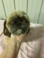 processed/060d4972-f35c-4c4b-964a-89a6a35d69de/facility/a6324066-4b48-4d90-8fa0-7c626b4ac785