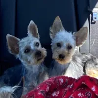 processed/060d4972-f35c-4c4b-964a-89a6a35d69de/facility/a6352928-0369-4005-b9d1-e67061f83e06