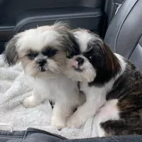 processed/060d4972-f35c-4c4b-964a-89a6a35d69de/facility/bf8887ba-bd15-4ccc-a016-c097802c07f0