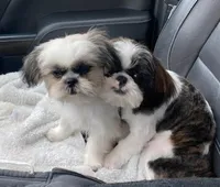 processed/060d4972-f35c-4c4b-964a-89a6a35d69de/facility/bf8887ba-bd15-4ccc-a016-c097802c07f0