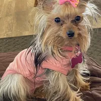 processed/060d4972-f35c-4c4b-964a-89a6a35d69de/facility/c24a408f-35ed-400d-ba03-1847122a3624