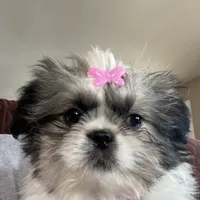 processed/060d4972-f35c-4c4b-964a-89a6a35d69de/facility/d69d38ab-853d-4f4a-8c26-ddc6822d7e93