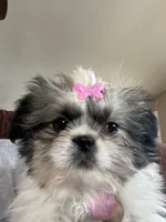 processed/060d4972-f35c-4c4b-964a-89a6a35d69de/facility/d69d38ab-853d-4f4a-8c26-ddc6822d7e93