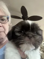 processed/060d4972-f35c-4c4b-964a-89a6a35d69de/listing/c91d5678-f936-4a06-bc08-64e58b5d3a60/1881eead-7b66-4d5b-9cb7-f1453c7172e7