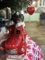 processed/060d4972-f35c-4c4b-964a-89a6a35d69de/listing/c91d5678-f936-4a06-bc08-64e58b5d3a60/2b50d46c-0502-4ad7-8535-1dfad9094d7d