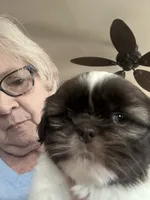 processed/060d4972-f35c-4c4b-964a-89a6a35d69de/listing/c91d5678-f936-4a06-bc08-64e58b5d3a60/d958835c-6519-4105-b91c-088339982ad9