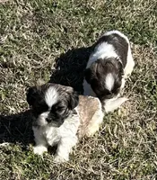 processed/060d4972-f35c-4c4b-964a-89a6a35d69de/listing/cfd4412d-7b81-4de7-9c62-37564ddcf7b7/0d771daf-9767-49d3-8721-1eb6c9daef33