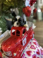 processed/060d4972-f35c-4c4b-964a-89a6a35d69de/listing/cfd4412d-7b81-4de7-9c62-37564ddcf7b7/132fc93c-2b30-4b22-b97b-8e113d2c27e4