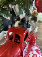 processed/060d4972-f35c-4c4b-964a-89a6a35d69de/listing/cfd4412d-7b81-4de7-9c62-37564ddcf7b7/2380b3a9-aedd-4c76-bd7f-bd702c688d74