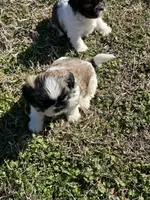 processed/060d4972-f35c-4c4b-964a-89a6a35d69de/listing/cfd4412d-7b81-4de7-9c62-37564ddcf7b7/94df7544-4276-4a43-99be-f979b724341d