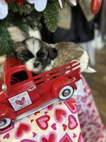 processed/060d4972-f35c-4c4b-964a-89a6a35d69de/listing/cfd4412d-7b81-4de7-9c62-37564ddcf7b7/fe560831-30ed-4049-b311-feca61c1f3f8