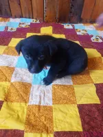 processed/060f866f-6b97-45ab-a07d-51715dc89293/listing/7dfc3c71-0196-4a36-8228-1fe55a2b8e4c/6bdc097c-3025-4d4e-9ce7-f2104dd21658