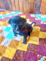 processed/060f866f-6b97-45ab-a07d-51715dc89293/listing/7dfc3c71-0196-4a36-8228-1fe55a2b8e4c/da4ec083-31f4-4c06-b245-c284d41d7866