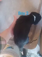 processed/060f866f-6b97-45ab-a07d-51715dc89293/listing/e06d1ca0-99d1-43df-bd73-8370eb5971df/677ac669-78c6-430a-a394-ac6ba8a22df6