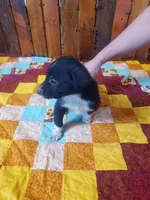 processed/060f866f-6b97-45ab-a07d-51715dc89293/listing/e06d1ca0-99d1-43df-bd73-8370eb5971df/caf0bbce-f34d-43c9-b7c7-8150ea57b2fb