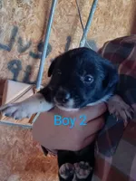 processed/060f866f-6b97-45ab-a07d-51715dc89293/listing/e06d1ca0-99d1-43df-bd73-8370eb5971df/d7a36688-9517-4408-81b8-8e86e087a5e8