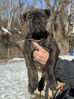 processed/0611a65d-104a-4c73-854c-ca2e67352abd/listing/58d72464-276c-4d0e-a865-3a62380eed02/c8b5b786-97ee-4c74-854a-8f06fd317cd1