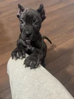 processed/0611a65d-104a-4c73-854c-ca2e67352abd/listing/e14e6196-6c5b-437f-98d3-f3ae187ab364/1f8dcf38-8d2c-4e43-bbe8-aad35d4bda0f