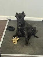 processed/0611a65d-104a-4c73-854c-ca2e67352abd/listing/e14e6196-6c5b-437f-98d3-f3ae187ab364/9c18712f-52be-476d-a70e-573b85b135f6