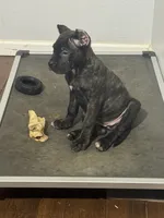 processed/0611a65d-104a-4c73-854c-ca2e67352abd/listing/e14e6196-6c5b-437f-98d3-f3ae187ab364/a7873af3-e571-4d86-b7f0-bf15ffbc3a80