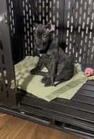 processed/0611a65d-104a-4c73-854c-ca2e67352abd/listing/e14e6196-6c5b-437f-98d3-f3ae187ab364/a83d9436-a43e-49b3-9324-94be3189ade7